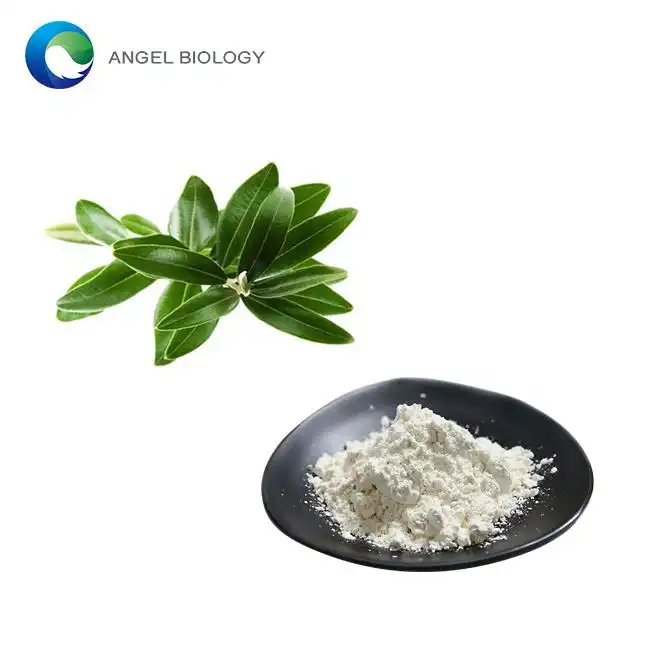 What Middle East Importers Must Know Before Purchasing Oleanolic Acid Powder?